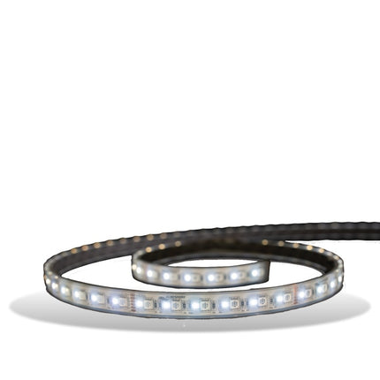 Lumishore Eclipse SL100 5m White Strip Light 12/24vDC