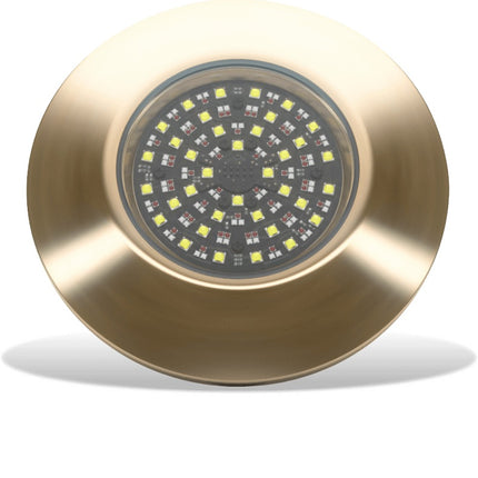 Lumishore EOS THX1604 Thru-Hull Mount and Driver RGBW LED